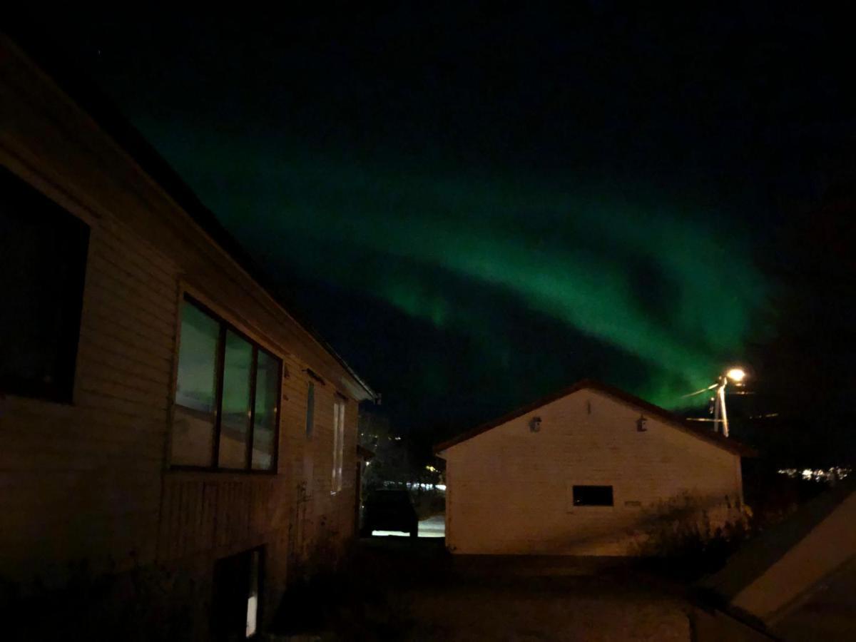 Spacious House In Tromso, Perfect For Groups Of Families, Tourists Or Workers 외부 사진